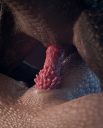1d-z_closeup.jpg
