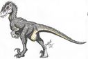 BT-RaptorSketch.jpg