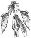 Fem_Archaopteryx_by_predaguy.jpg