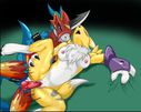 Flamedramon_Renamon_1_SoulTornado_2.jpg