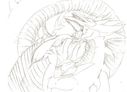 InkCookie_Slifer_the_Sky_Dragon.jpg