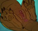 ORIONFELL_mudwing_croc_fem_wof.jpg