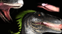 RaptorSex.png