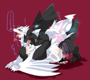 Reshiram_and_Zekrom_Mating.png