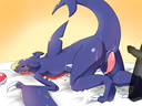 Training_Garchomp.png