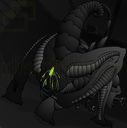 Xenomorph.jpg