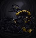 Xenomorph_alien2_ch.jpg