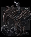 Xenomorph_notorious_2.jpg