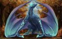 apelairplane_auroth_the_winter_wyvern.jpg