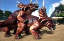 ark_trikes_mating.jpg