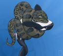 brokensoul_orca_anaconda.jpg