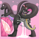 camychan_salandit-salazzle.png