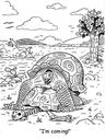 cartoon-Turtlesex04.jpg