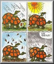 cartoon-Turtlesex3.jpg