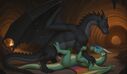 cayuse_breeding_experiment_wof.jpg