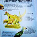 corythosaurus.jpg