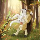 ctrl-alt-yiff_in_the_forest.jpg