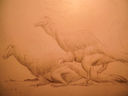 deinocheirus_mating_sketch_by_lucas_attwell.jpg