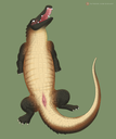 digitoxici_gator_sketch.png