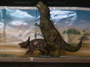 dino_figurines02.jpg