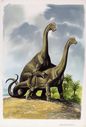 dinosex_embleton_large_sauropod.jpg