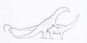 diplodocus_dinosaur_luv_by_dontknowwhattodraw.jpg