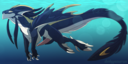 dnk-anais_seadragon.png