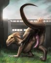 dragonhurd_indo2.jpg