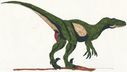 dragontrex_utahraptor_male.jpg