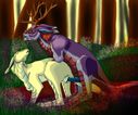 dreiga19_dreigala_mating_colored.jpg