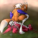 ducati_renamon-guilmon.jpg