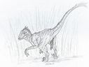 eyegis-garr_veloraptor.jpg