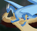 gray-scales_qinter_wof.jpg
