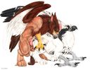 gryphon-males.jpg