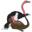 haliaeetus_ostrich_x_emu.png