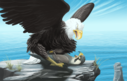 haliaeetus_silver-aetus_domming_nyx.png