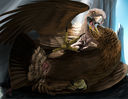 haliaeetus_vulture-eagle-sawyer.jpg