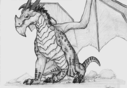 herpydragon_storm_drake_wow.png