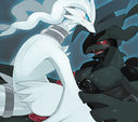 hidoritoyama_reshiram-zekrom.jpg