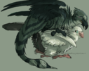 inkbird_phoenix_pigeon.png