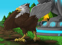 jackrow-eagle.jpg