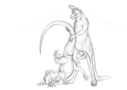 jackrow_lizard-roo.png