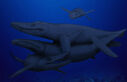 kingrexy_liopleurodon.jpg