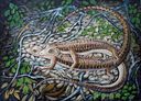 lizards_mating_by_Gerald_Heffernon.jpg