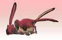 lythroversor_raptors-mating.jpg