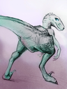 magikoochie_raptor.png