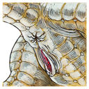 Filename=malicorne_dragon_pussy.jpg
Filesize=519KiB
Dimensions=624x624
Date added=Feb 08, 2018 malicorne_dragon_pussy.jpg