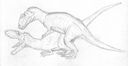 maniraptora-giganotosaurs.jpg