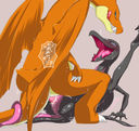 mibutinelco_charizard-and-salazzle.jpg