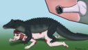 mushbun_alligator.png